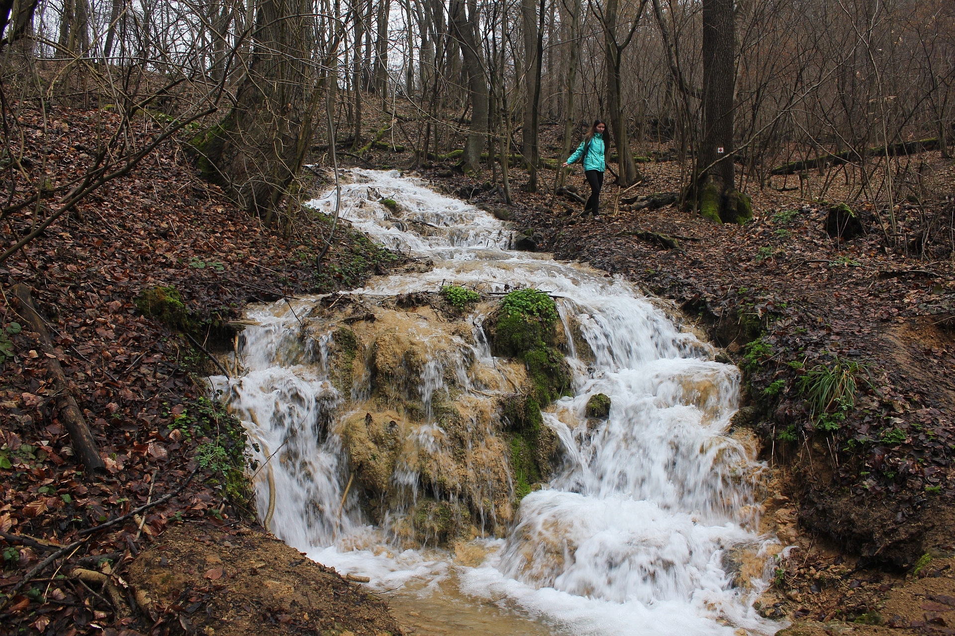 12. Forrás-völgy_mésztufa.jpg